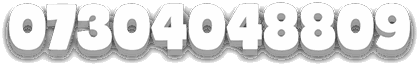07304048809